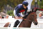 La photo de Elusive Way