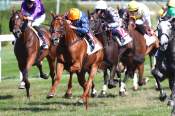La photo de Glori Leader 