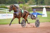 La photo de Kingslayer Pellini Arrivée Quinté+ Pmu Grand Prix De L'Agglomeration D'Agen