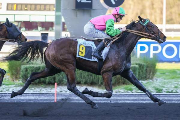 Photo de MHUM FLYNG cheval de TROT MONTE