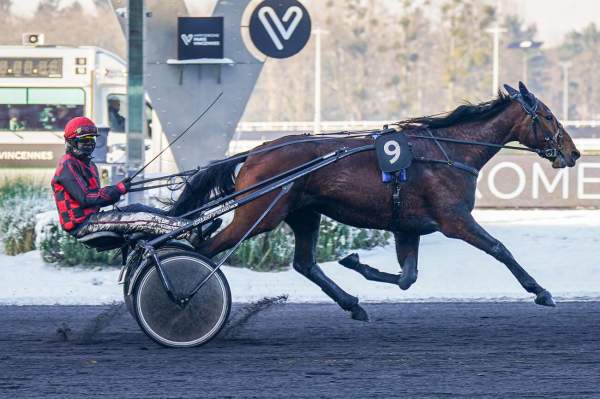 La photo de Mercure D'elle 