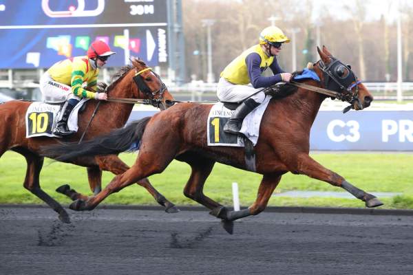 Photo de JAZZ IN MONTREUX cheval de TROT MONTE