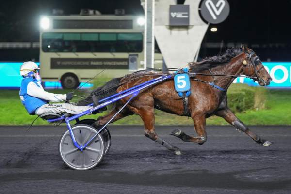Photo de RED D'OVER cheval de TROT ATTELE