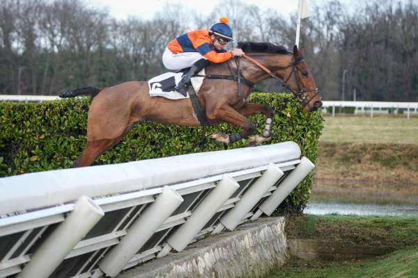 Photo de MILLEETUNEVICTOIRE cheval de STEEPLE CHASE
