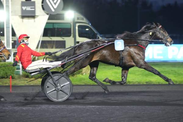 Photo de KARNAC WOOD cheval de TROT ATTELE
