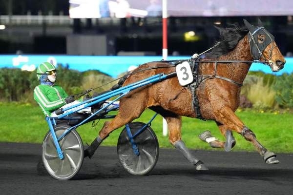 Photo de LORD DE CHENU cheval de TROT ATTELE
