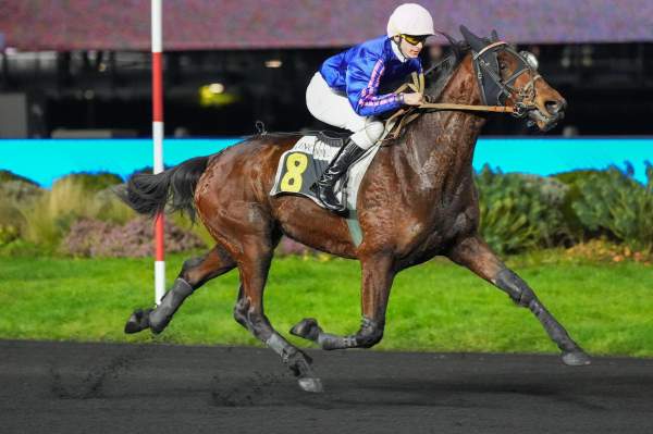 Photo de LOUSTIC cheval de TROT MONTE