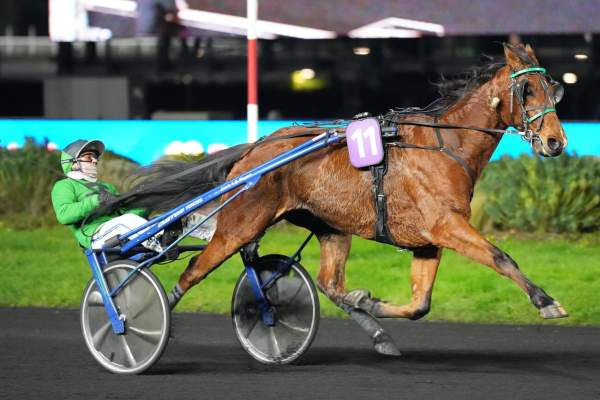 Photo de JOYEUX MESLOIS cheval de TROT ATTELE