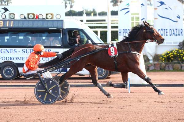 La photo de Ister Man Arrivée Quinté+ Pmu Prix Une De Mai à CAGNES-SUR-MER