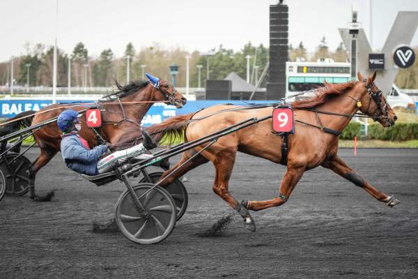 La photo de Make It Right arrivée pmu Prix des Baléares à Vincennes