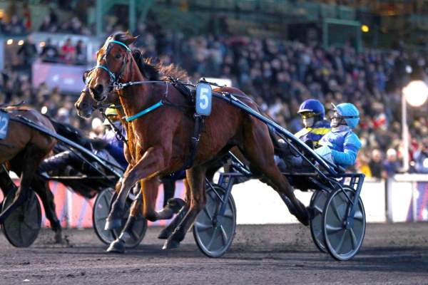 La photo de Liberte De Choisel Arrivée PMU Prix Bold Eagle à Vincennes