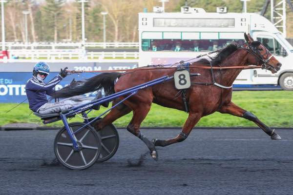 Photo de LOU DU DONJON cheval de TROT ATTELE