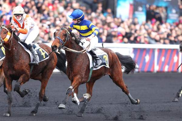 Photo de IKURO JIEL cheval de TROT MONTE