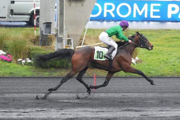 Photo de LIONHEART cheval de TROT MONTE