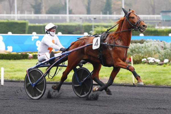 Photo de NICE SPEED cheval de TROT ATTELE