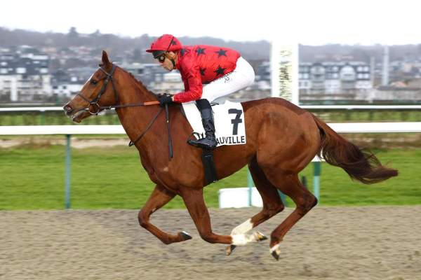 Photo de SAUCEPOT cheval de PLAT