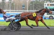 La photo de Magie Mesloise arrivée pmu Prix de Clamecy à Vincennes