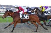 La photo de Wild Moor arrivée pmu Prix de la Mare de Vauville à Deauville
