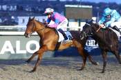 La photo de Lofsongur Islande arrivée pmu Prix de Veules-les-Roses à Deauville