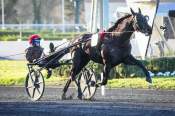 La photo de Maestro Vrie Arrivée PMU Prix Ourasi à Vincennes