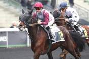 La photo de Munhoa Vedaquaise Arrivée PMU Prix de Dozulé à Vincennes