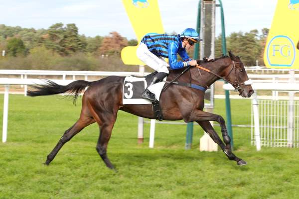 Photo de MY GEMME cheval de HAIES