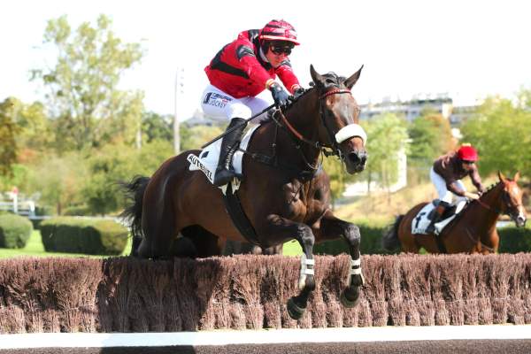 Photo de RIVERSIDE DAVIER cheval de HAIES