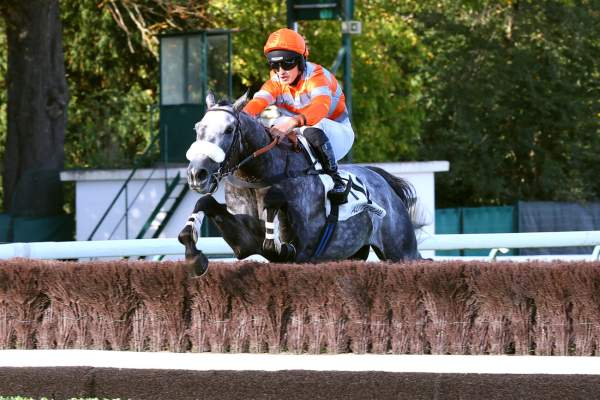 Photo de INSTANT FRAGILE cheval de HAIES