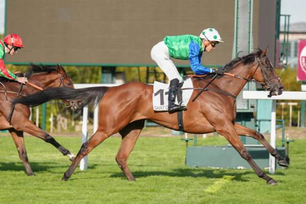 Photo de MISS JUSTICE cheval de PLAT