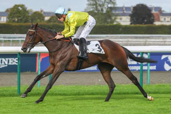 Photo de ATIKA cheval de PLAT