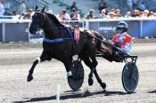 La photo de Black Heuvelland 