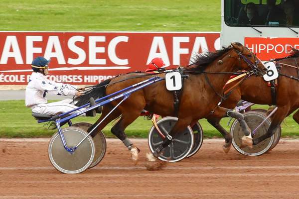 Photo de KEOPS DE CASTELLE cheval de TROT MONTE