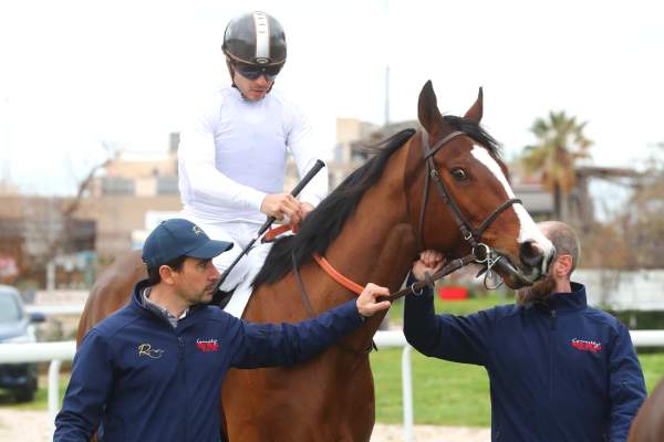 La photo de FACTEUR CHEVAL Saudi Cup 2026