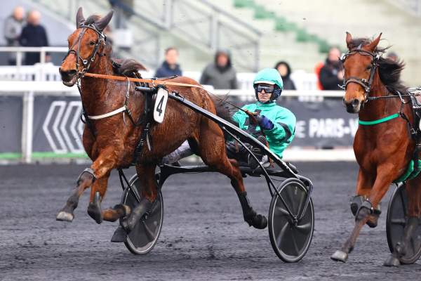 Photo de MAMZELLE D'HERIPRE cheval de TROT ATTELE