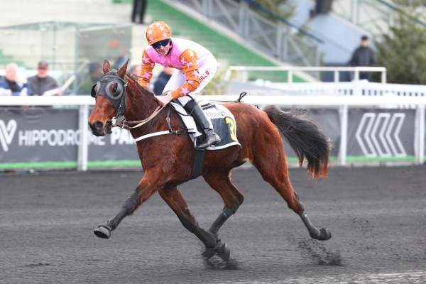 Photo de MIMI RAUDIERE cheval de TROT MONTE