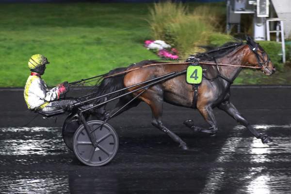 Photo de MOONSTAR JYL cheval de TROT ATTELE