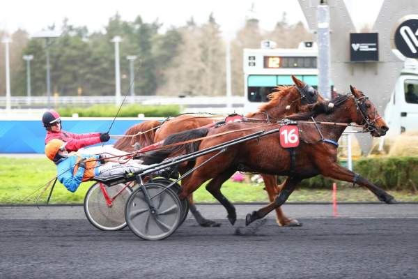 Photo de KIARA DES BORDES cheval de TROT ATTELE