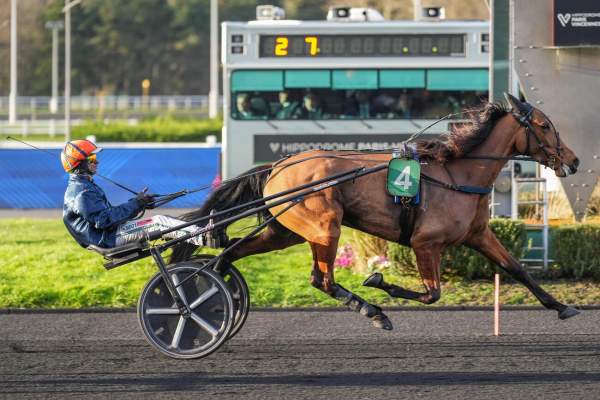 Photo de NEPTUNE CHANTE cheval de TROT MONTE