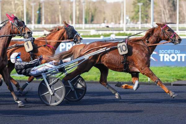 Photo de JILORD VIVA cheval de TROT ATTELE