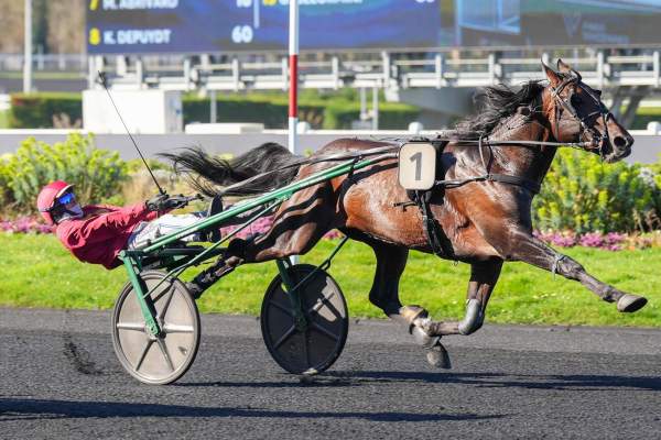 Photo de JOBSPOST cheval de TROT ATTELE