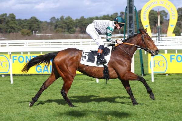 Photo de TIMBALLINA cheval de PLAT