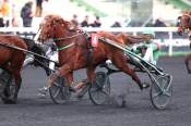 La photo de Louna Du Locheur