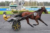 La photo de Magnificat arrivée pmu Prix de Montluçon à Paris-Vincennes