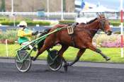 La photo de Jaifa De L'iton Arrivée Quinté+ Pmu Prix De Chateau-Gontier à Paris-Vincennes