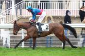 La photo de Glady Tiger arrivée pmu Prix de la Source à Auteuil