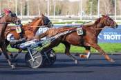 La photo de Jilord Viva arrivée Quinté+ Prix du Chesnay à Paris-Vincennes