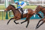 La photo de Nity Galeste arrivée pmu Prix d ela Grange de Commelles à Chantilly
