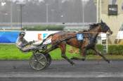 La photo de Mystic Des Forges arrivée pmu Prix Ensemble France Chine à Paris-Vincennes