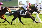 La photo de Out Of The Blue arrivée pmu Prix des Mimosas à Cagnes-sur-Mer