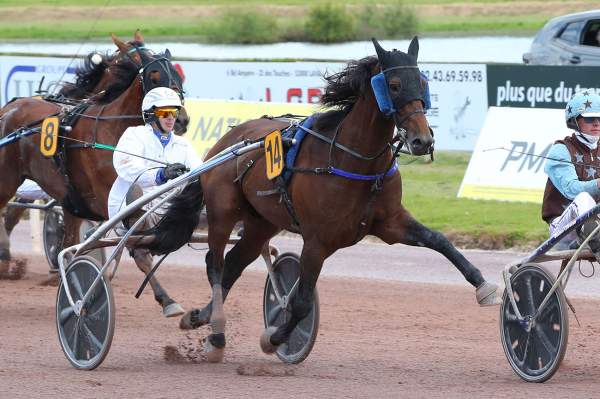 Photo de KIROMAN cheval de TROT ATTELE